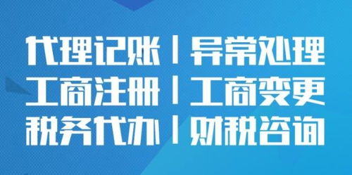 鹽田區代理記賬與設計服務融合 如何選擇專業高效的財稅合作伙伴